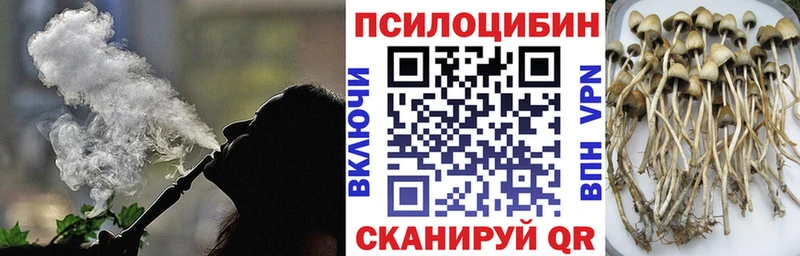 Галлюциногенные грибы MAGIC MUSHROOMS  где купить наркоту  Нижняя Тура 